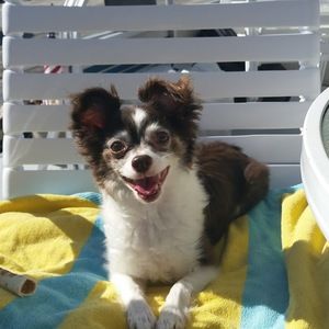 Meet your Posher, Kris